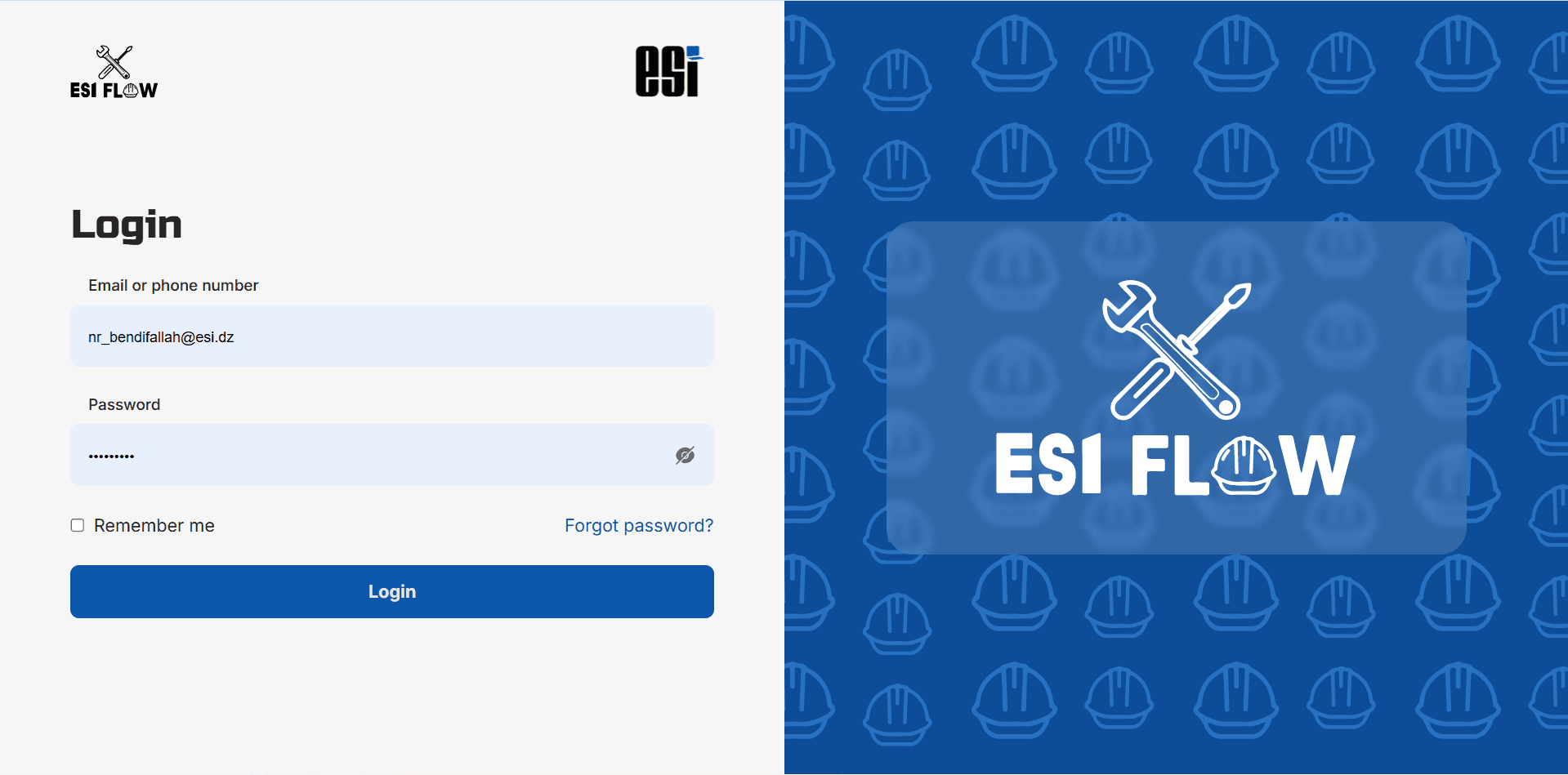 ESI FLOW thumbnail 2